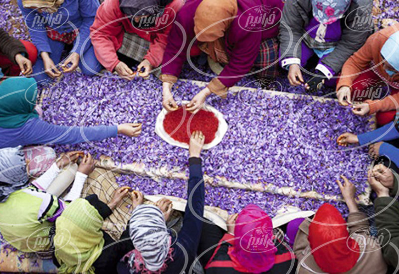 سایت خرید زعفران عمده در بلژیک